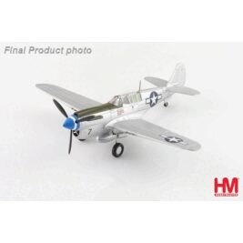 1:72 P-40N Warhawk Phillipines
