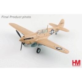 1:72 P-40N Warhawk Geronimo