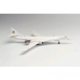 1:200 Ukrainian AirForce TU160